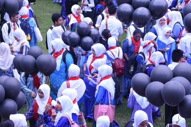 280 DSC 0355